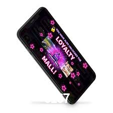 Premium Interface 6167
