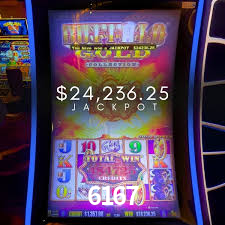 Explorando a Categoria de Eventos em Apostas na 6167